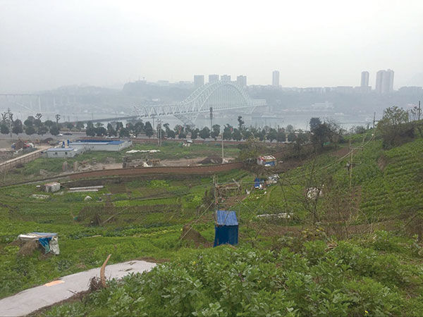 聚焦海成拿地2.jpg